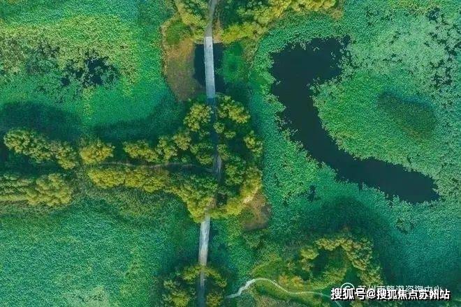楼盘评测-鹿溪雅园售楼中心详情户型 小区配套尊龙人生就是博鹿溪雅园售楼处欢迎您 2025(图18)