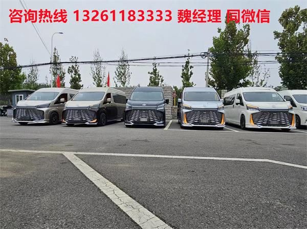牌MPV 海狮9座大尺寸商务车卖价尊龙凯时·中国网站进口丰田海狮蓝