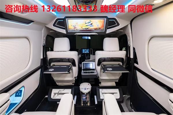 牌MPV 海狮9座大尺寸商务车卖价尊龙凯时·中国网站进口丰田海狮蓝(图4)
