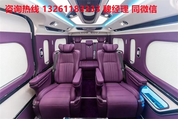 牌MPV 海狮9座大尺寸商务车卖价尊龙凯时·中国网站进口丰田海狮蓝(图5)